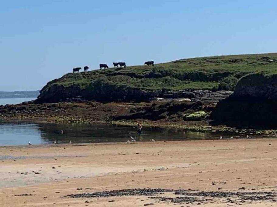Bumblebee Cottage Donegal Town Esterno foto