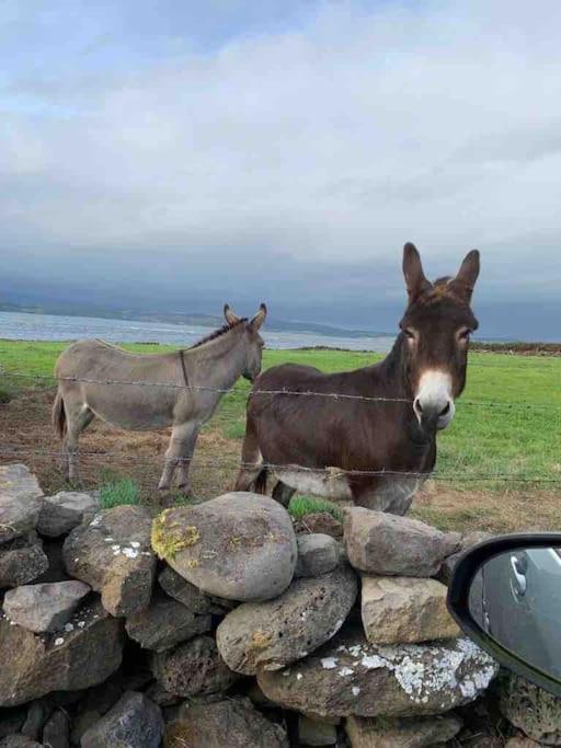 Bumblebee Cottage Donegal Town Esterno foto