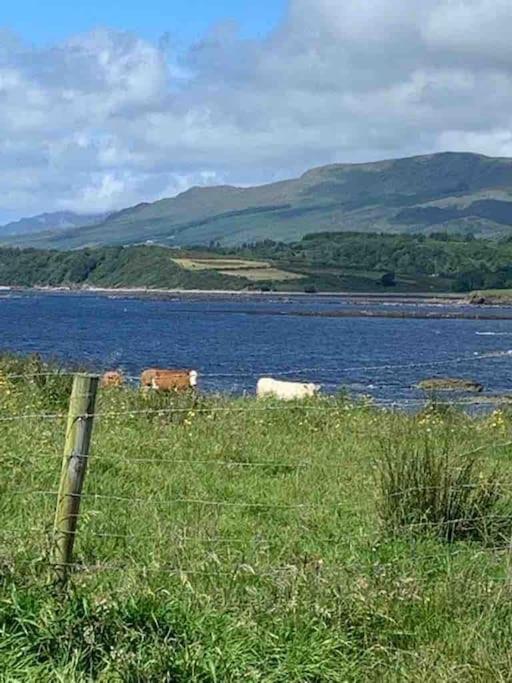 Bumblebee Cottage Donegal Town Esterno foto